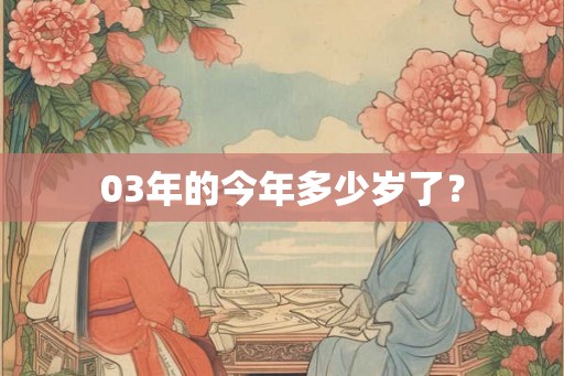 03年的今年多少岁了？