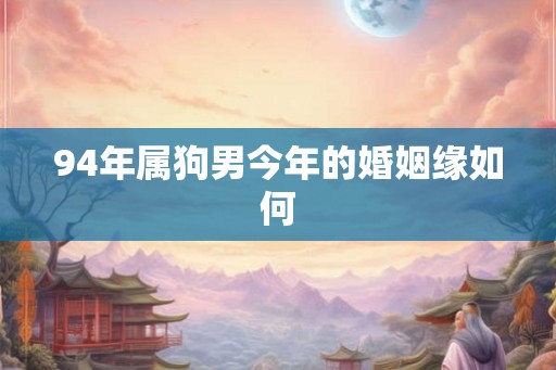 94年属狗男今年的婚姻缘如何