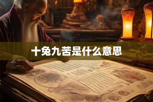 十兔九苦是什么意思