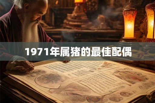 1971年属猪的最佳配偶
