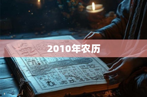 2010年农历 2010年农历