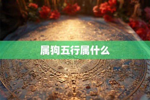 属狗五行属什么
