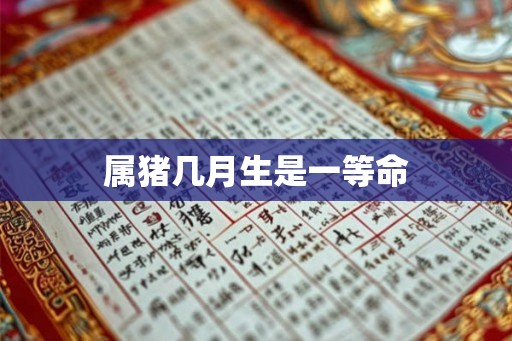 属猪几月生是一等命