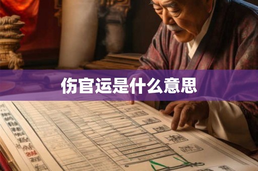 伤官运是什么意思 伤官运是什么意思