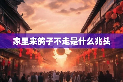 家里来鸽子不走是什么兆头