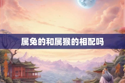 属兔的和属猴的相配吗