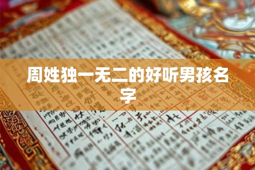 周姓独一无二的好听男孩名字