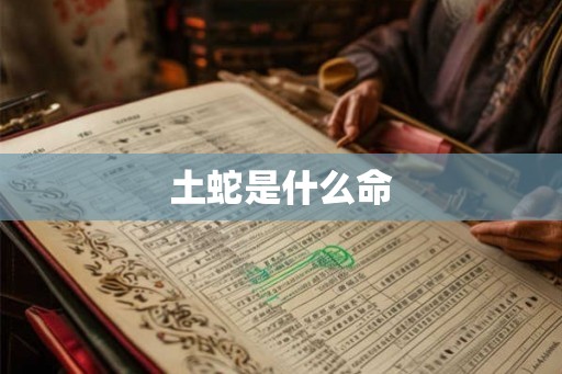 土蛇是什么命