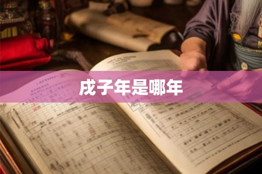 戌子年是哪年