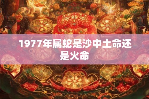 1977年属蛇是沙中土命还是火命