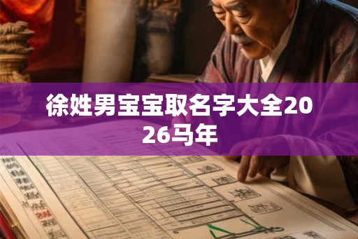 徐姓男宝宝取名字大全2026马年
