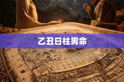 乙丑日柱男命