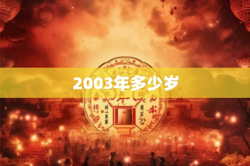 2003年多少岁
