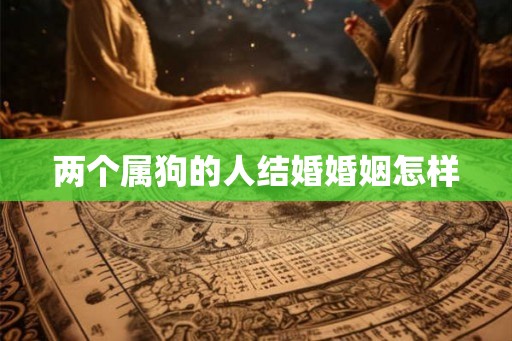 两个属狗的人结婚婚姻怎样 两个属狗的人结婚婚姻怎样