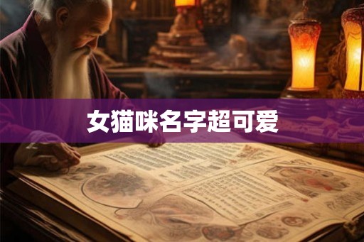 女猫咪名字超可爱