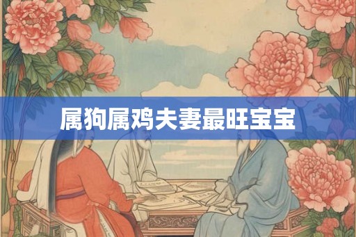 属狗属鸡夫妻最旺宝宝