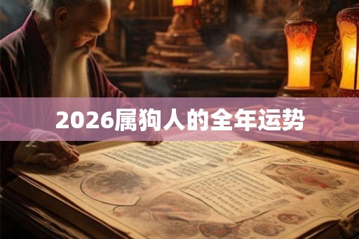 2026属狗人的全年运势 2026属狗人的全年运势