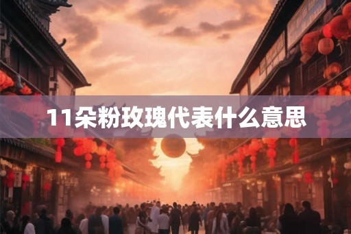 11朵粉玫瑰代表什么意思