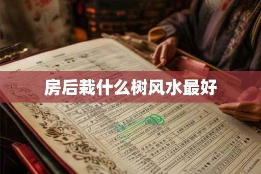 房后栽什么树风水最好