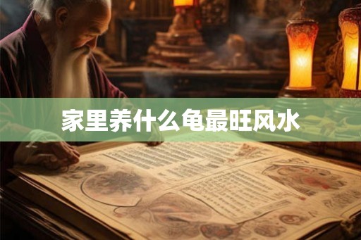 家里养什么龟最旺风水