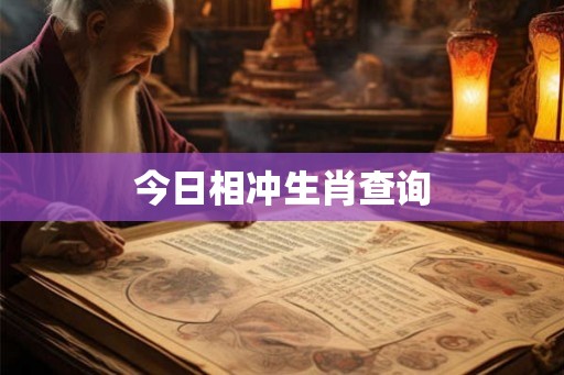 今日相冲生肖查询