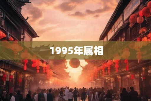1995年属相