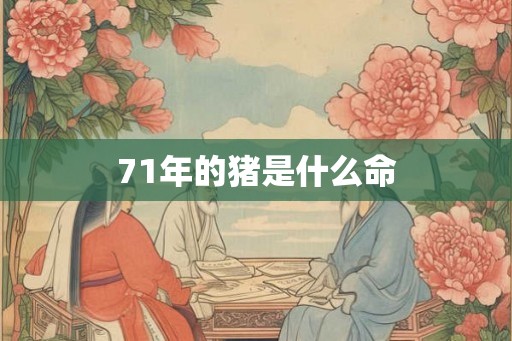 71年的猪是什么命