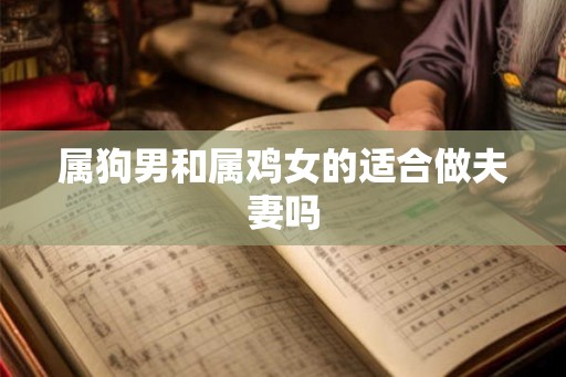 属狗男和属鸡女的适合做夫妻吗