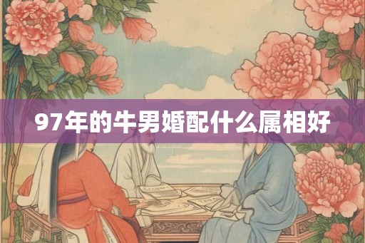 97年的牛男婚配什么属相好