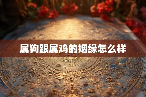 属狗跟属鸡的姻缘怎么样