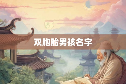 双胞胎男孩名字 双胞胎男孩名字