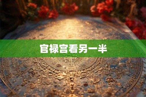 官禄宫看另一半