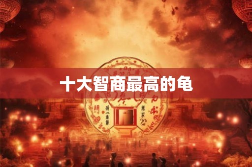 十大智商最高的龟 十大智商最高的龟