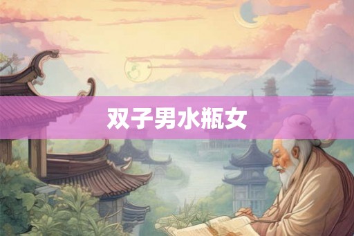 双子男水瓶女