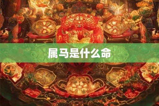 属马是什么命