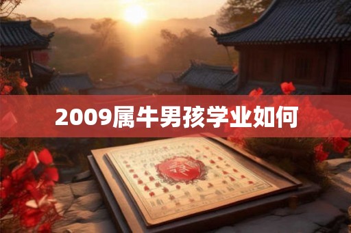 2009属牛男孩学业如何