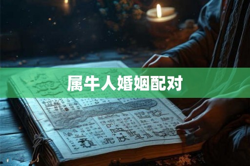 属牛人婚姻配对