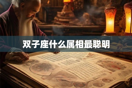 双子座什么属相最聪明