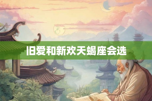 旧爱和新欢天蝎座会选