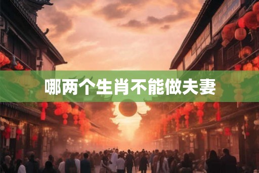 哪两个生肖不能做夫妻