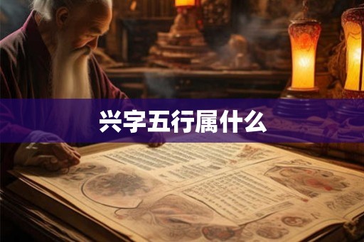 兴字五行属什么