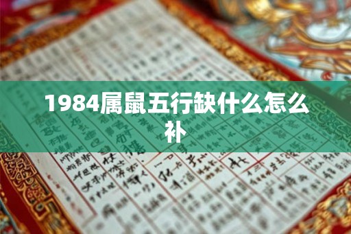 1984属鼠五行缺什么怎么补