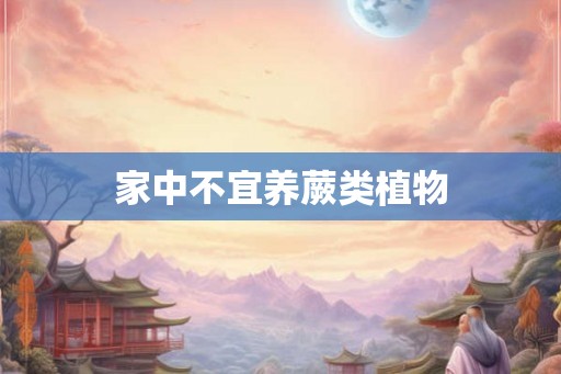 家中不宜养蕨类植物 家中不宜养蕨类植物