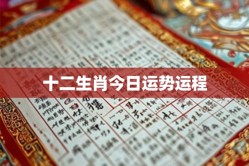 十二生肖今日运势运程