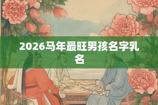 2026马年最旺男孩名字乳名