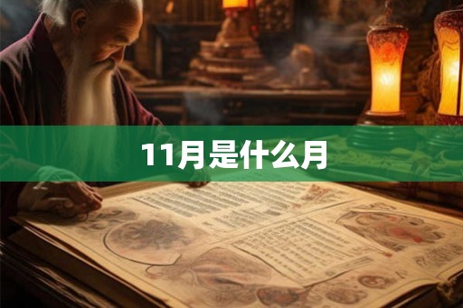 11月是什么月
