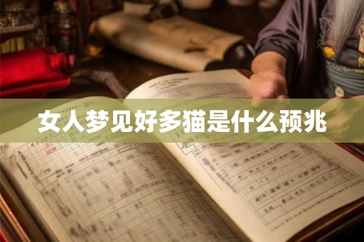女人梦见好多猫是什么预兆