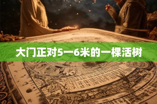 大门正对5一6米的一棵活树