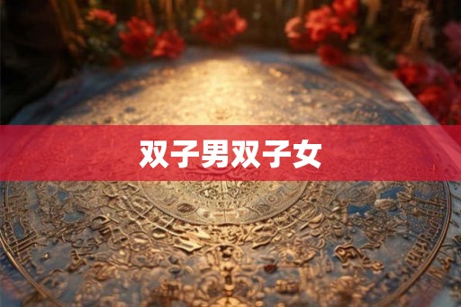 双子男双子女