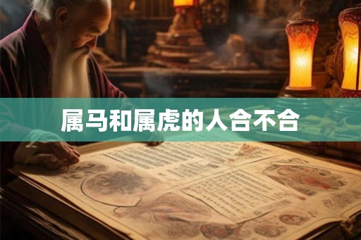 属马和属虎的人合不合